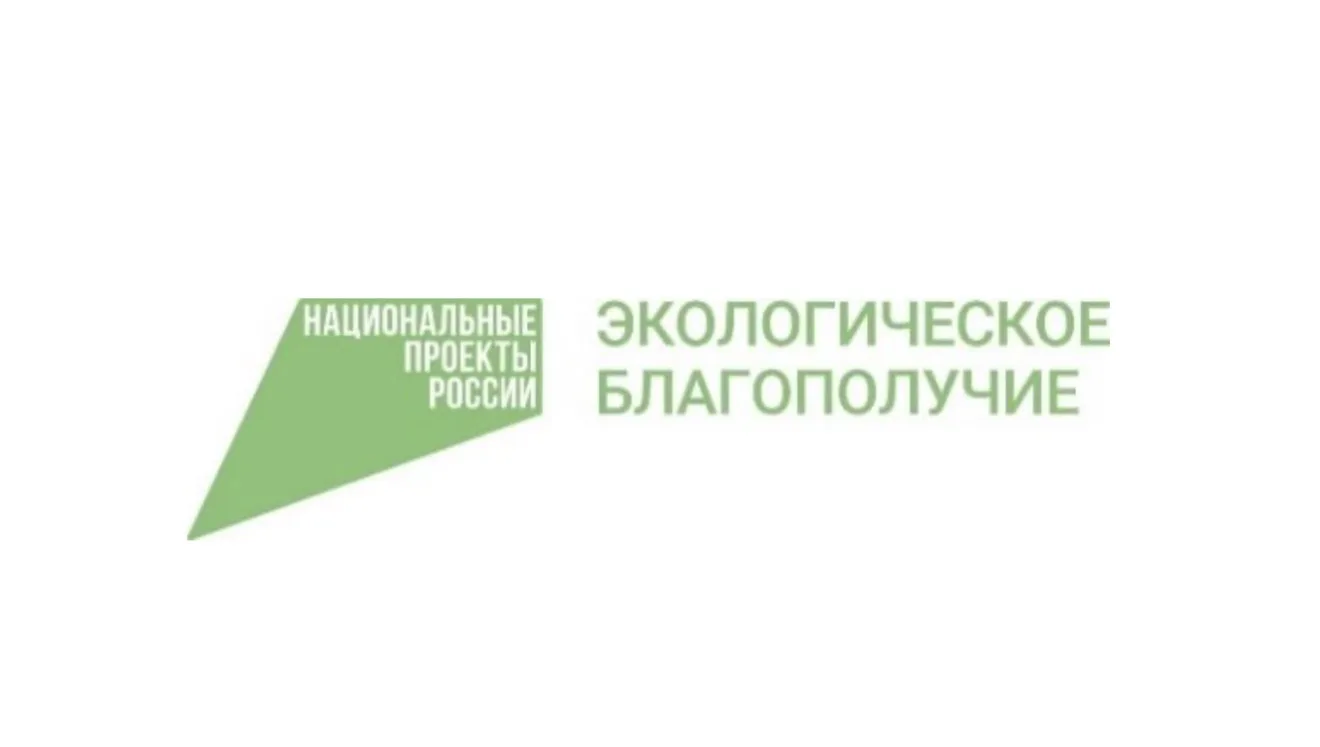 На опережение стихии: профилактика и борьба с лесными пожарами