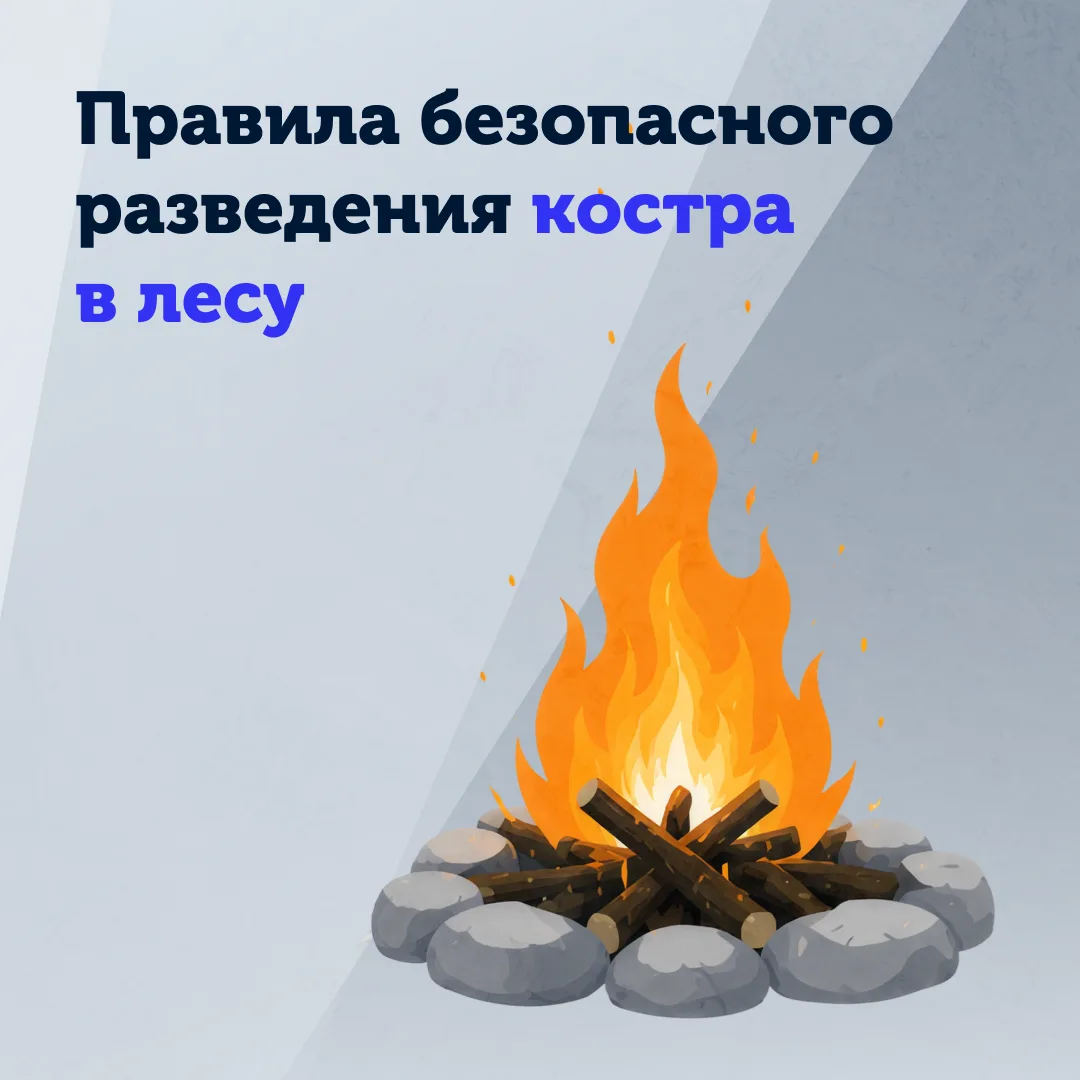 🔥 Костёр в лесу — это всегда серьёзная ответственность.
