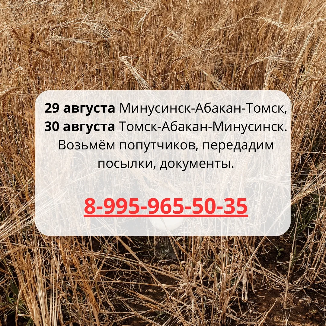 МАХ max.ru/abakan_tomck