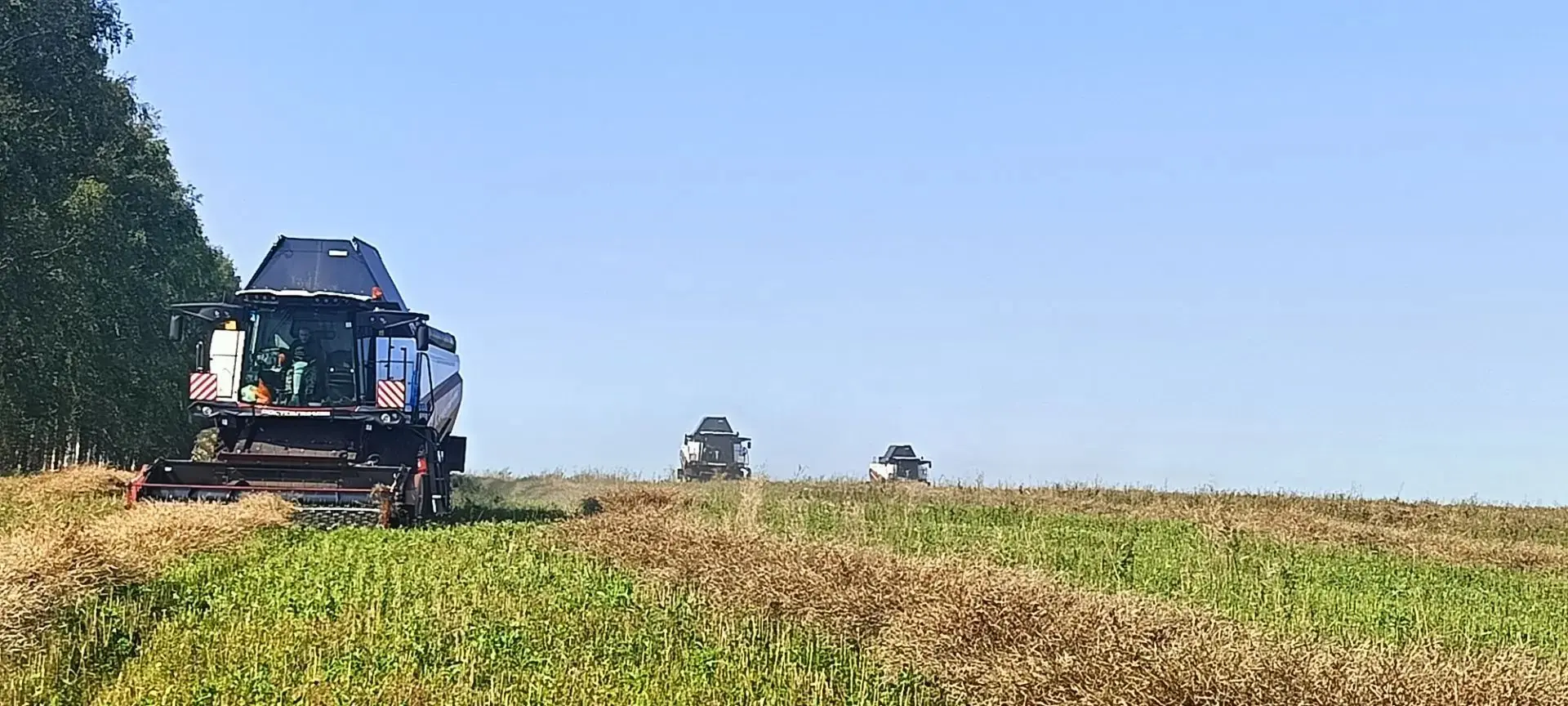 В обособленном предприятии Балтачевское ООО "А7-Агро РБ" началась уборка ярового рапса....