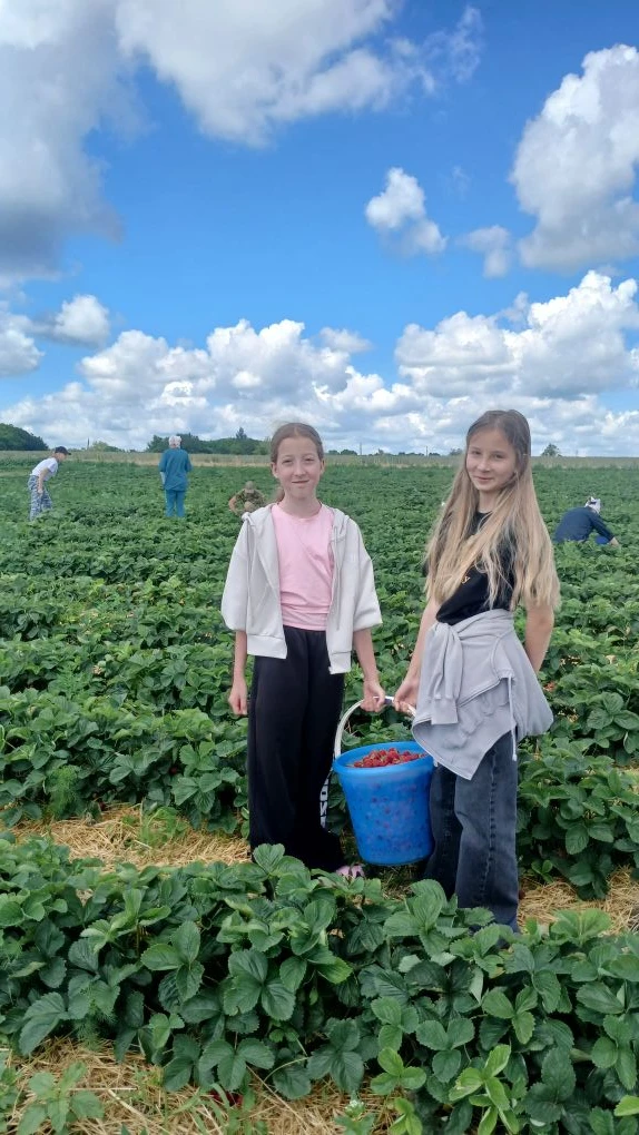 Фото с сегодняшнего самосбора!
Всем спасибо 
Были очень рады вас видеть ❤