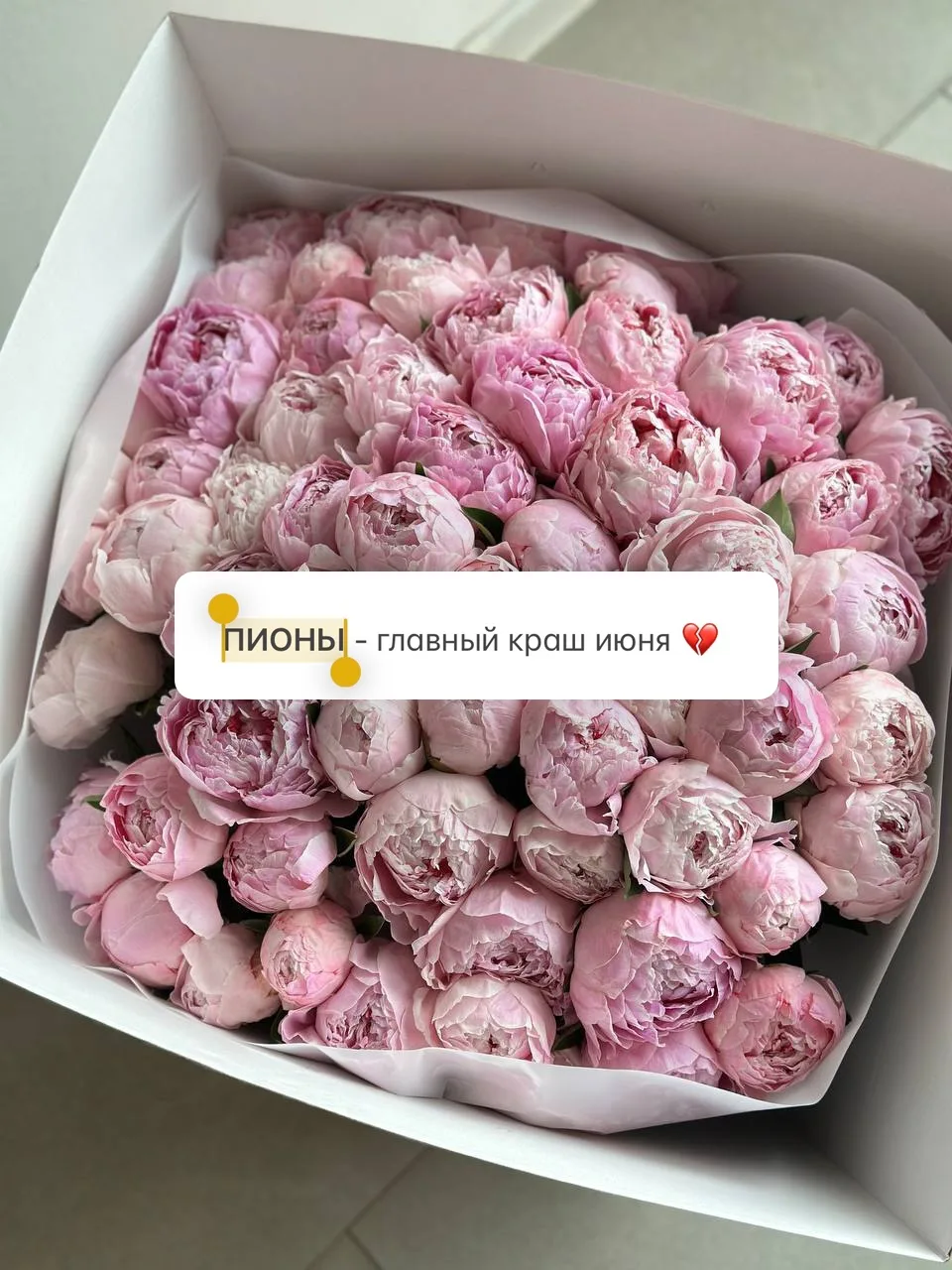 ПИОНЫ - главный краш июня 💔