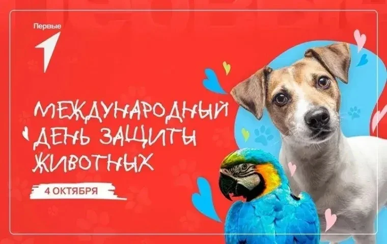 🐾 4 октября — Всемирный день защиты животных! 🐾Дарить животным добро и заботу — это п...