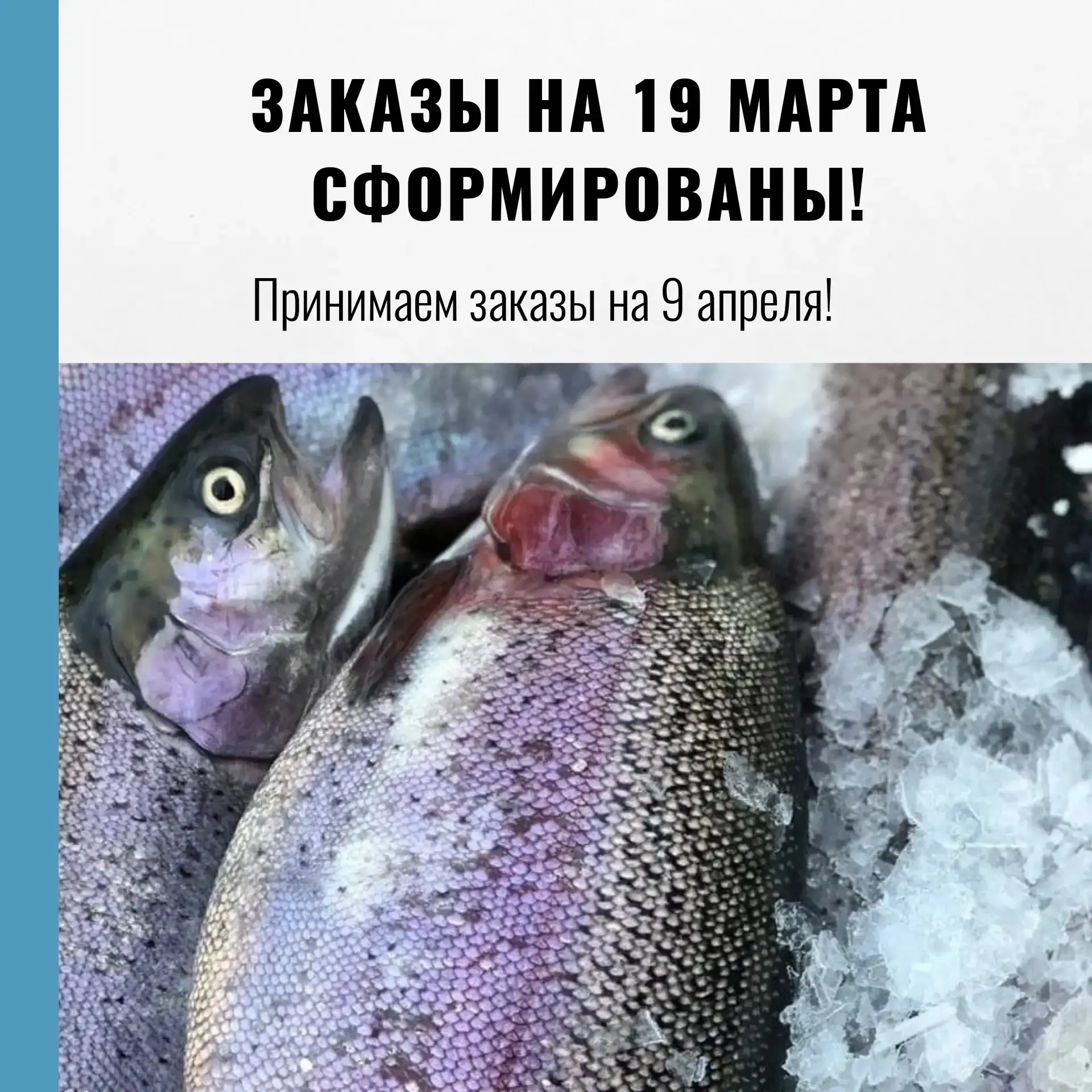 Дорогие друзья! 🌼