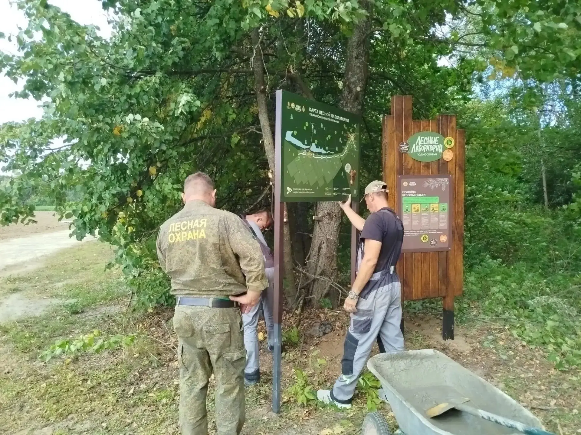 🌿В Виноградовском лесничестве завершены работы по обустройству «Лесной лаборатории», с...