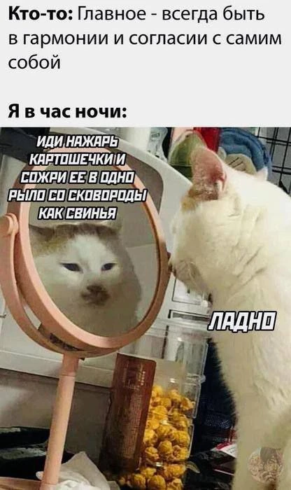 🔹 Спорить с тобой все равно бесполезно 😄