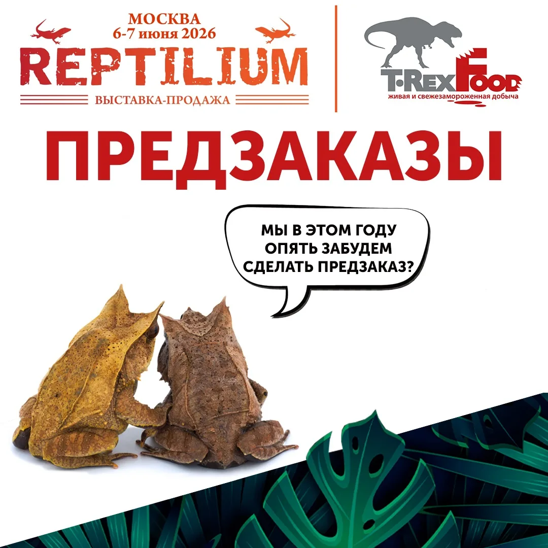🦖 Друзья! Уже 6-7 июня пройдет долгожданная выставка-продажа Рептилиум в Москве по адр...