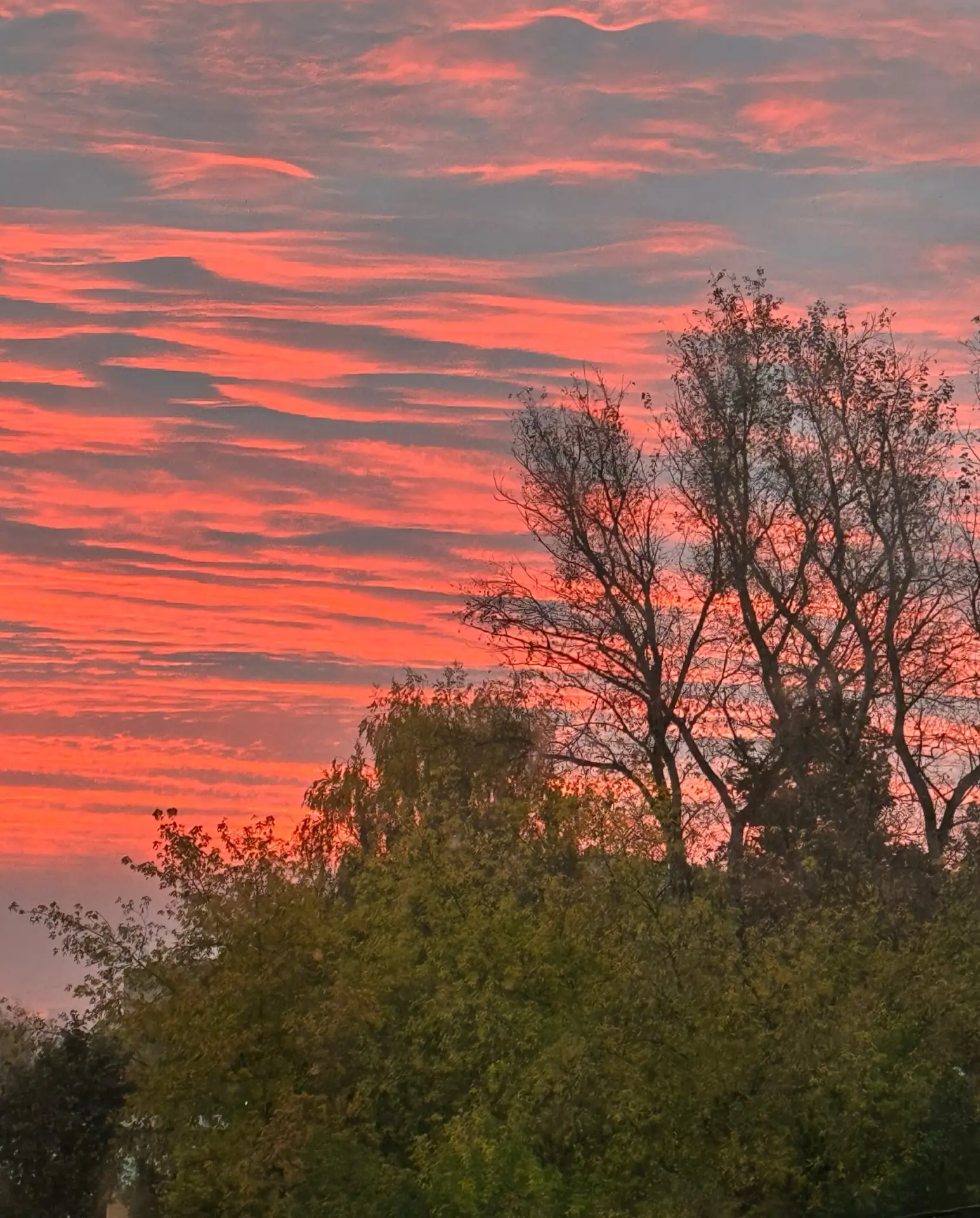 Сегодня нам прислали прекрасный рассвет 🌅