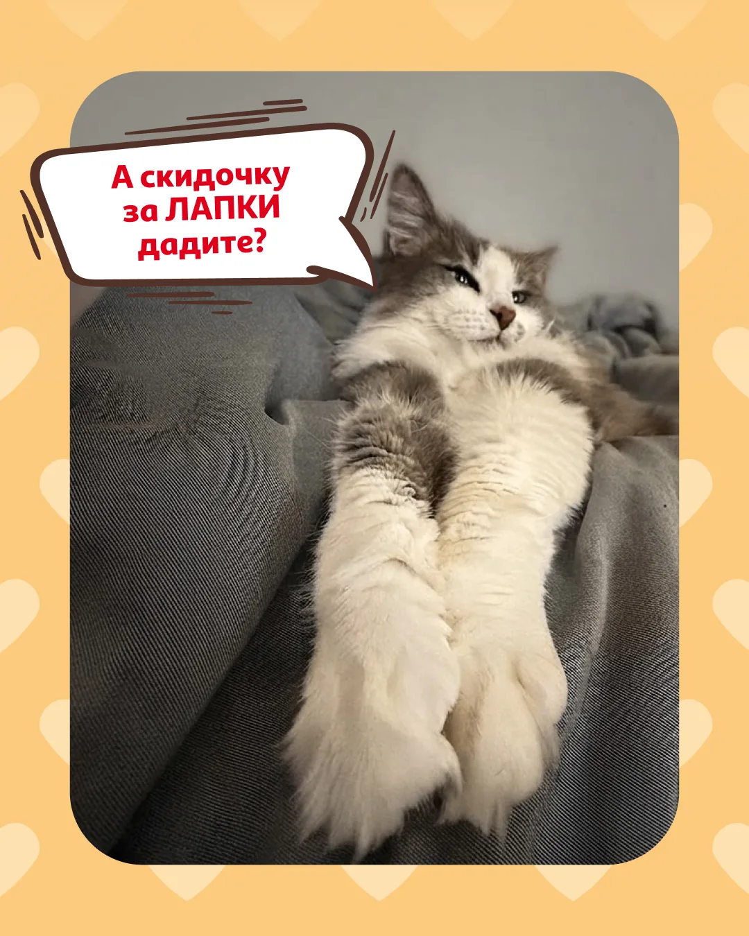 Конечно! 🐾