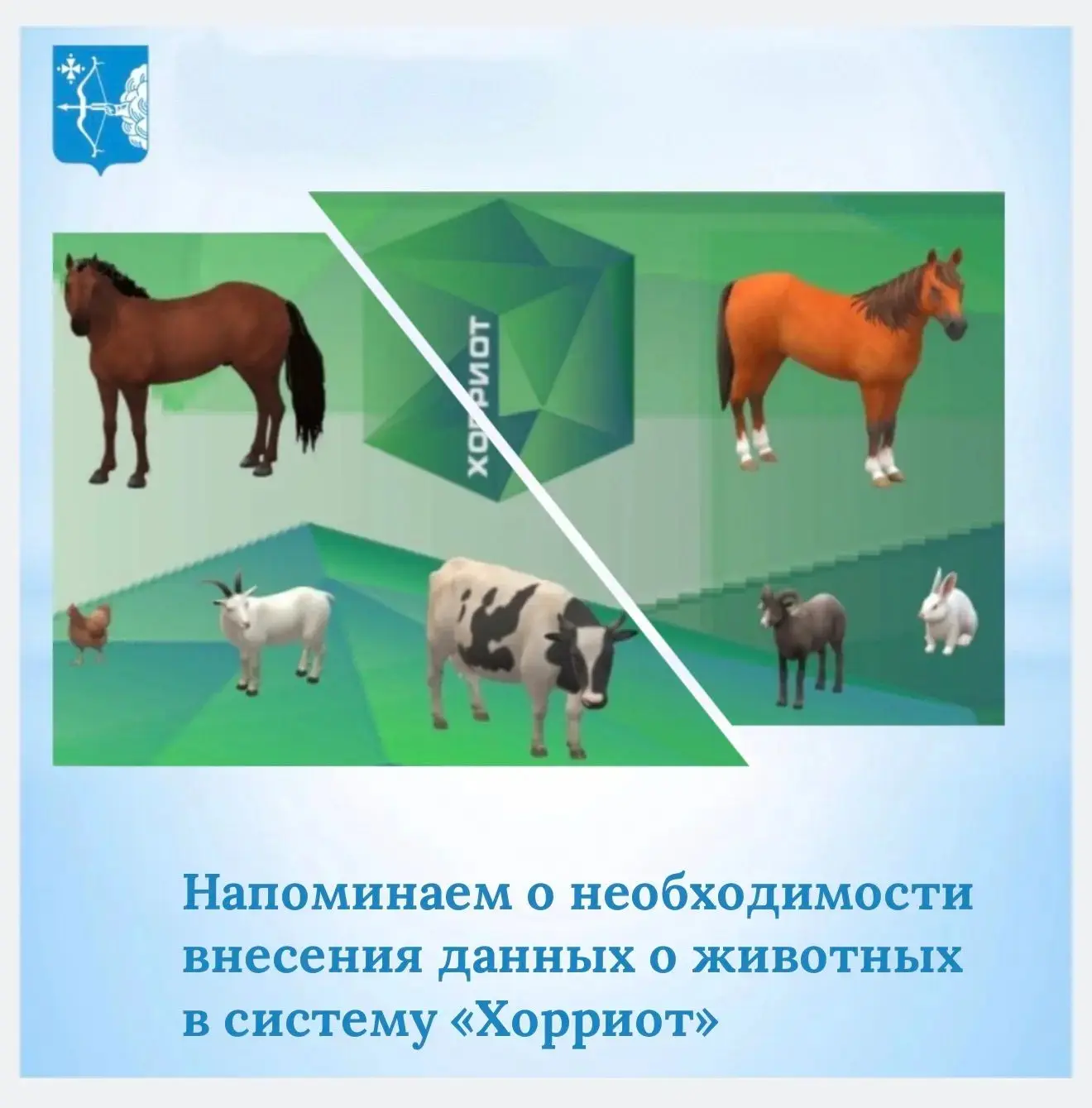 Внесение данных в систему «Хорриот» — это не формальность, а требование закона. Чтобы в...