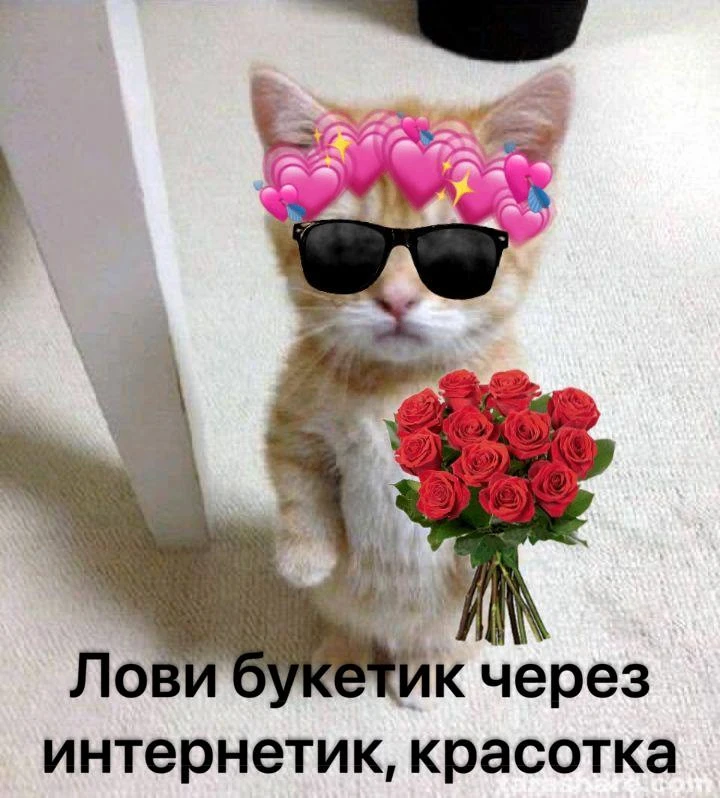 *отправляй своей <З