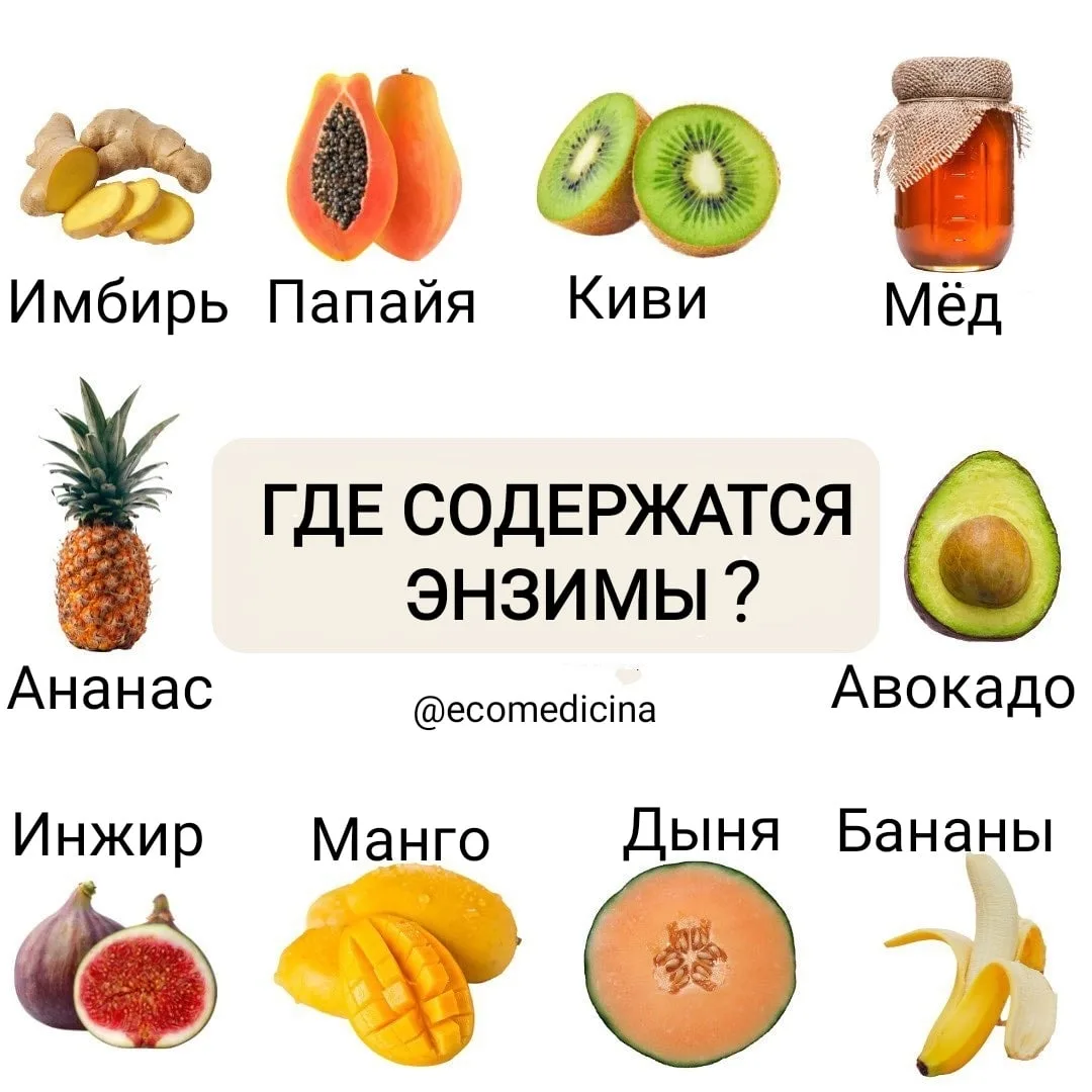 🔥 ФЕРМЕНТЫ = ЭНЗИМЫ - КАК ВОСПОЛНИТЬ ФЕРМЕНТНУЮ НЕДОСТАТОЧНОСТЬ?

Хотите улучшить пищеварение? Ешьт