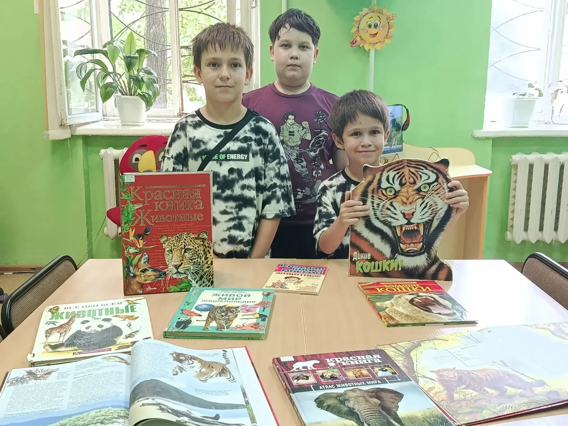 🐯📚«Мир самых величественных кошек»