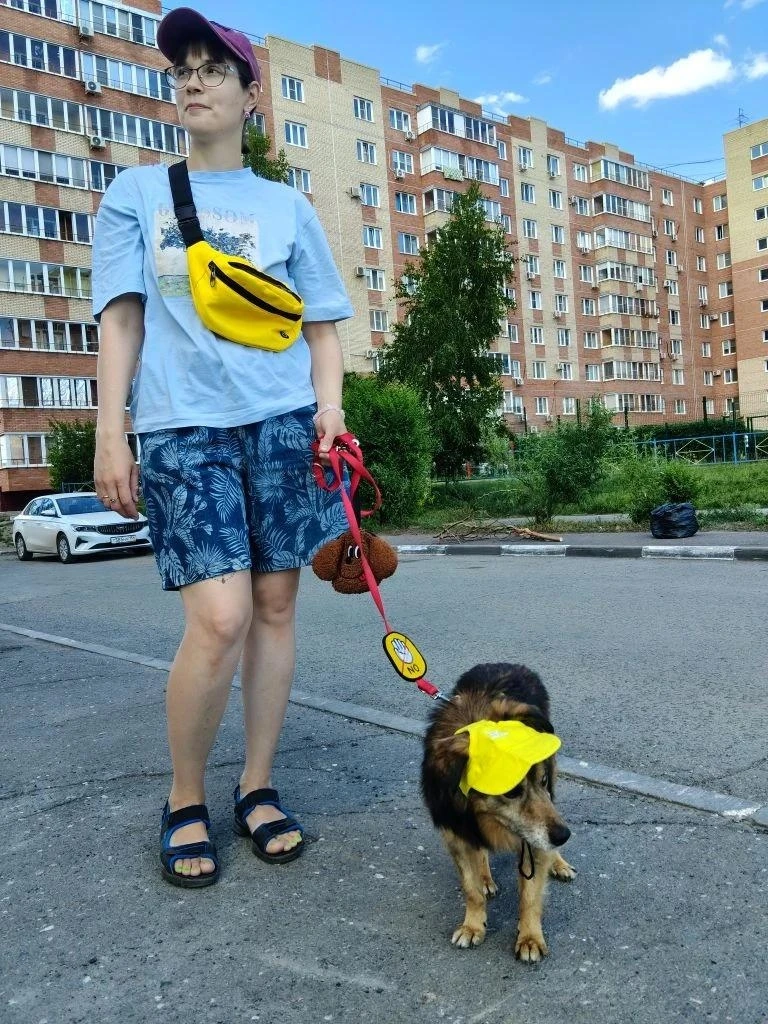 Как слепой старичок стал главным модником и научился вить верёвки из хозяйки. 😎