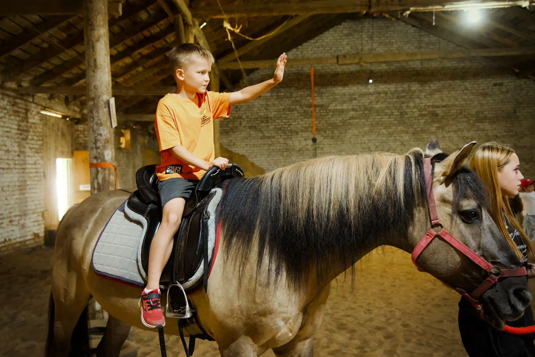 🐎Изящные и таинственные, преданные и надёжные, умные и добрые. Они излучают тепло, энергию, имеют ц