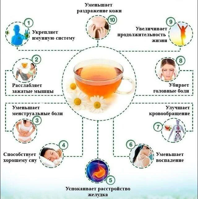 Полезно знать 🌿

⚠️  Информация предоставлена в ознакомительных целях и не заменяет медицинскую пом