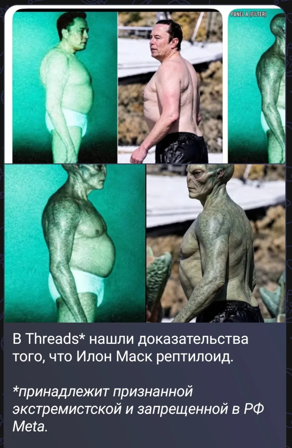 Они там на пару с Трампом долбо.... простите, ящеры.)