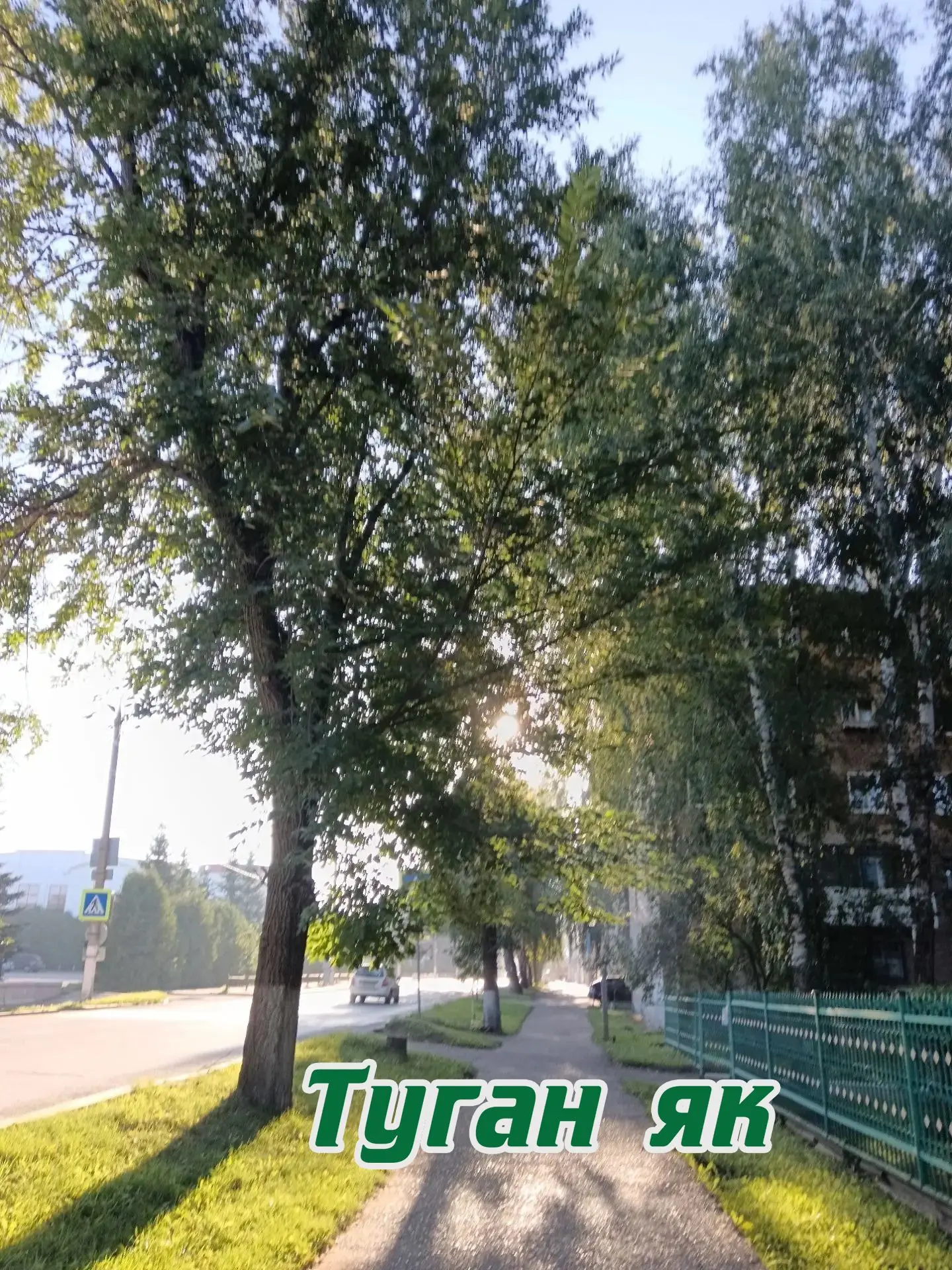 💫Хәерле иртә, дуслар!
