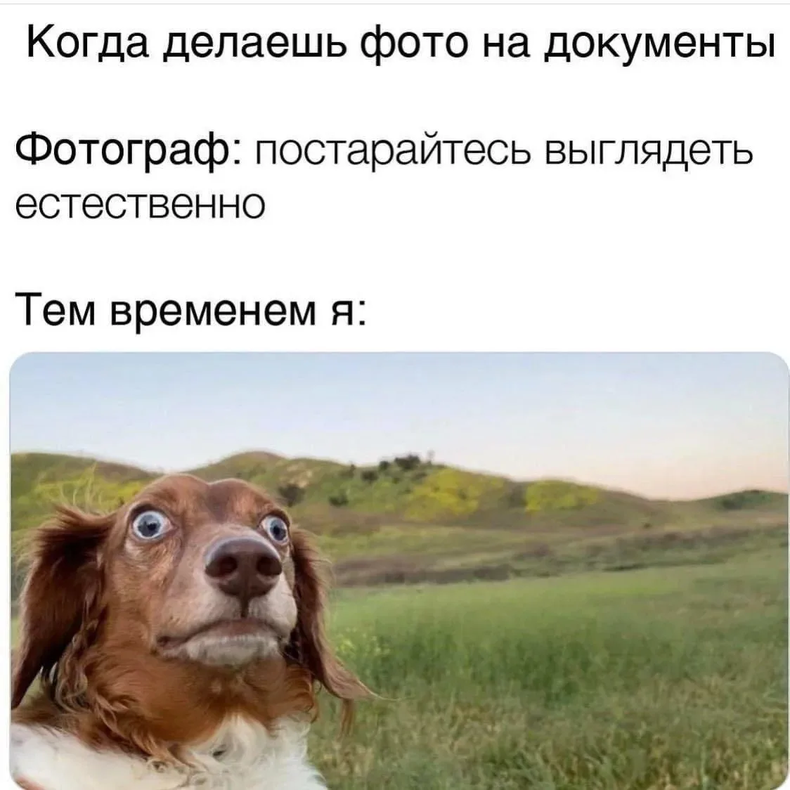 😁Православные тоже шутят - Позитивный канал, с доброй и душевной атмосферой.

Дорогие братья и сест