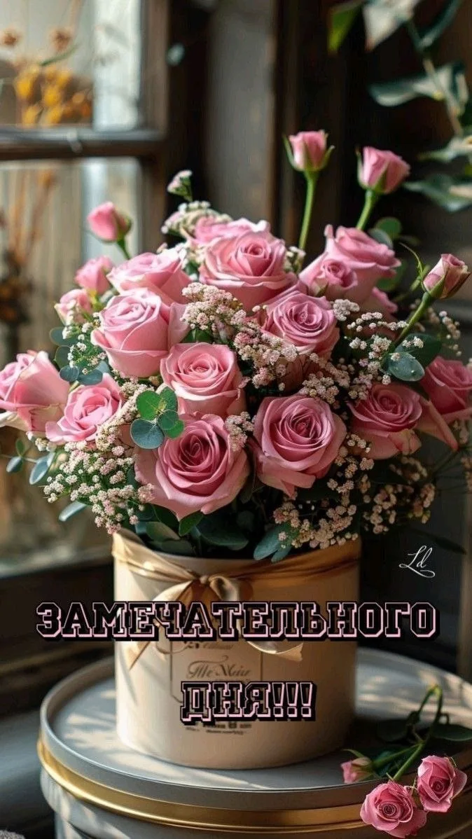 Делитесь открыткой с друзьями и поддерживайте реакцией 😍

Твои открытки - подписаться