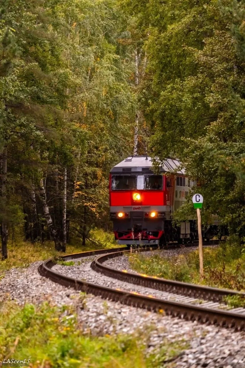 🚂 «Один вагон, один рейс в день»: романтика тупиковой ветки