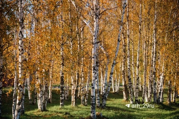 Доброе утро, Архангельск!
