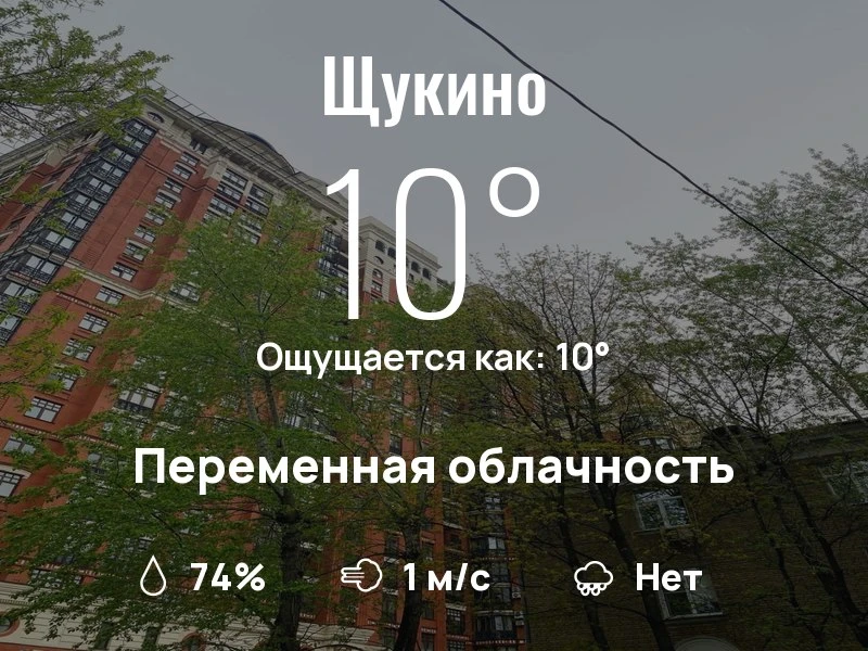 Что с погодой в Щукино?