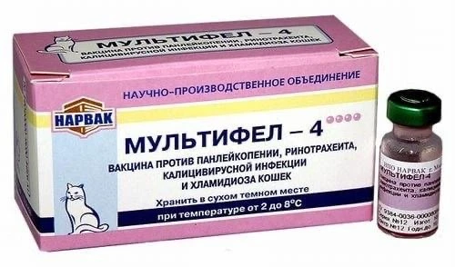 😭Вакцина для кошек «Мультифел» от производителя «Мультикана» вызывает кровавый стул, к...