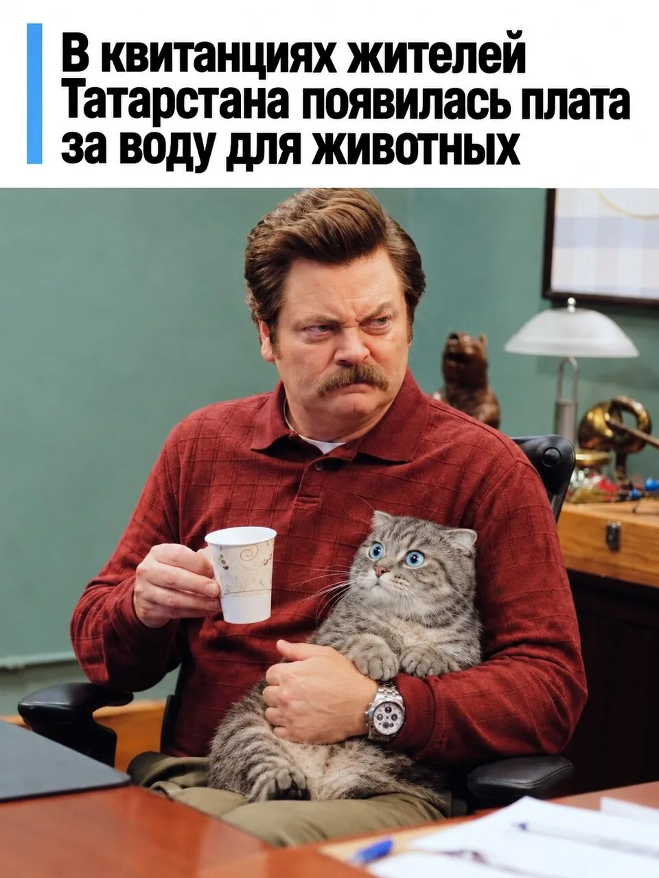 Татарстанцам начали начислять плату за воду для питомцев?