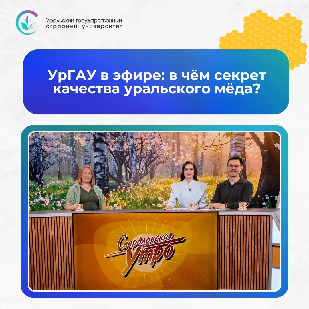 Урал — медовый край? 🍯

От чего зависит качество мёда? Как пчёлы переживают уральскую зиму? И почем