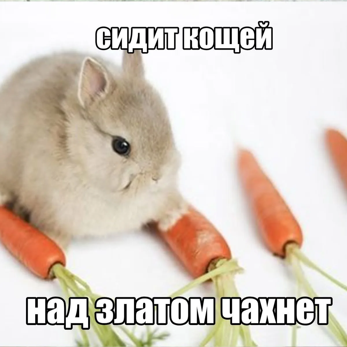 Ставь лайк! ❤️