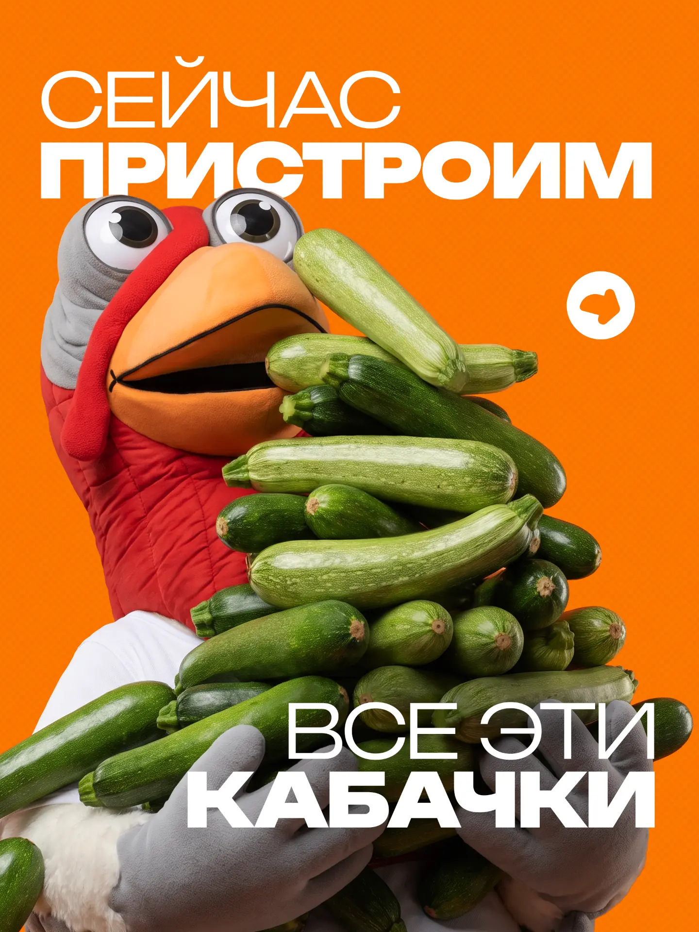 Который раз переворачиваем календарь, а кабачки всё не заканчиваются…