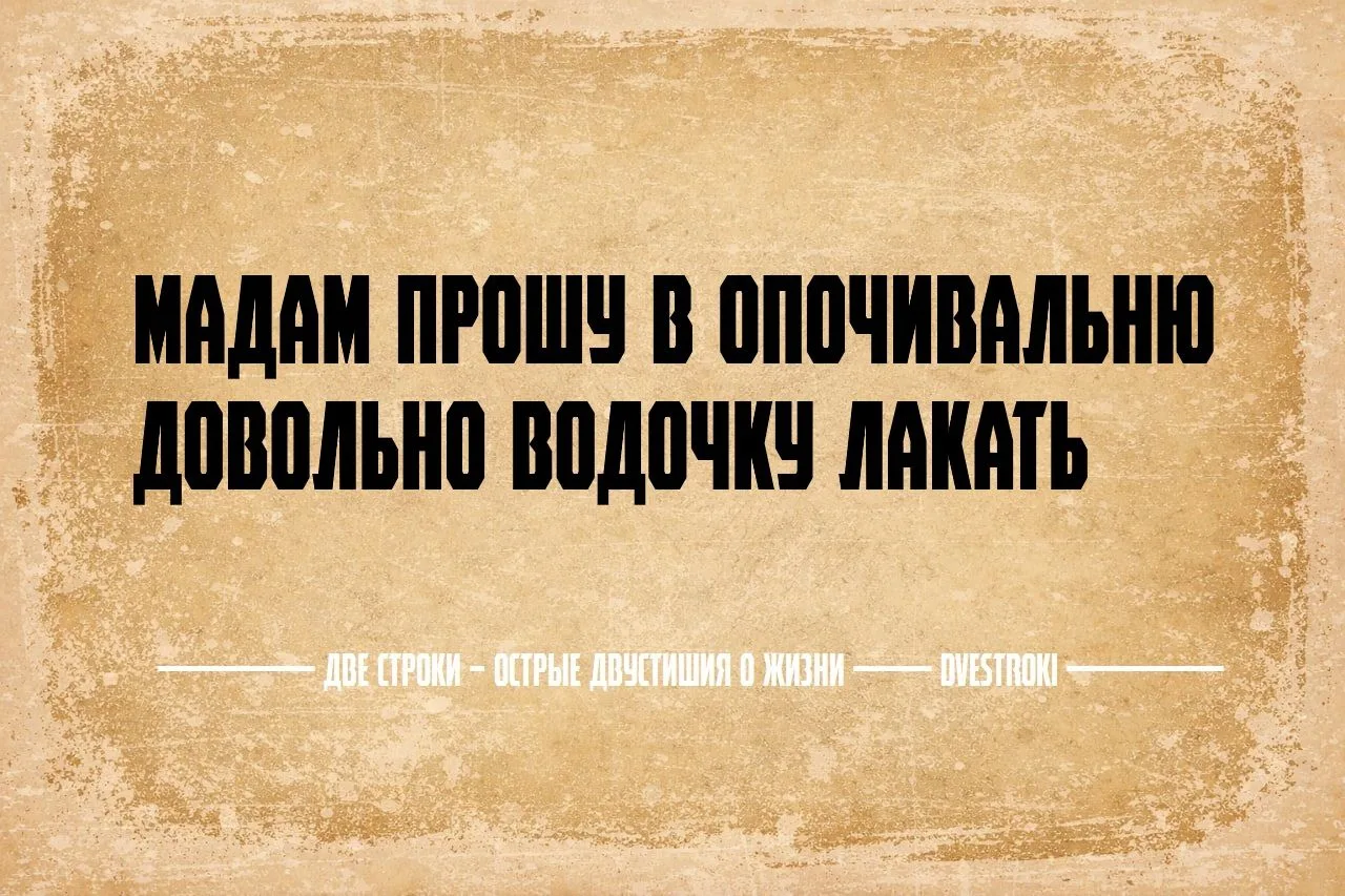 Две строки – остроумные двустишия в Telegram и Мах