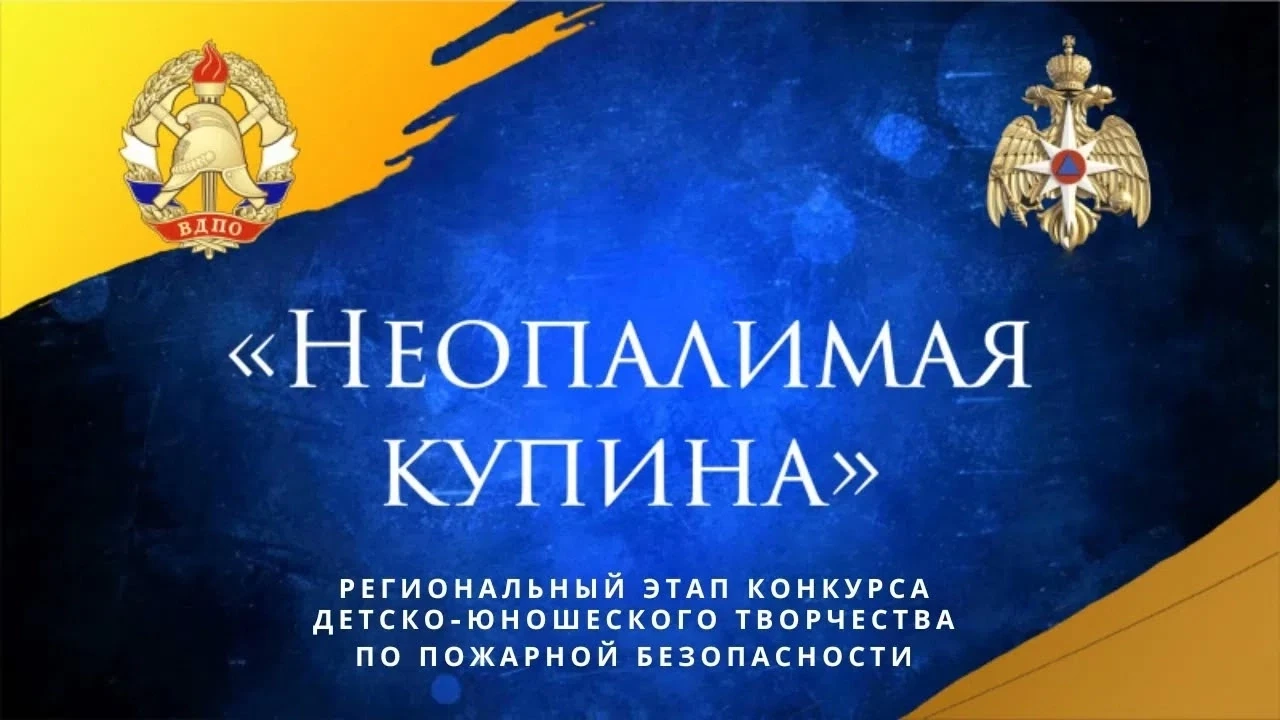 Всероссийским добровольным пожарным обществом при поддержке Министерства просвещения РФ...