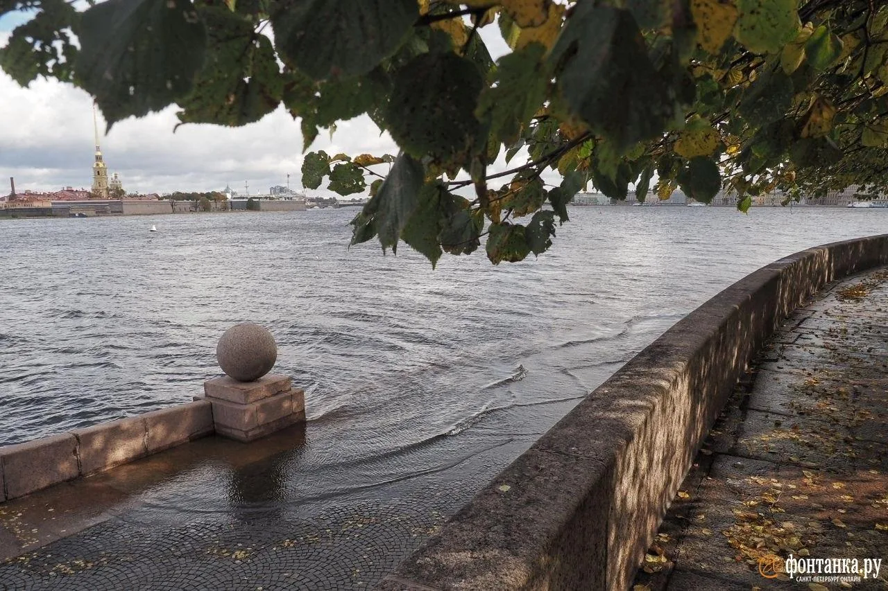 Уровень воды в Неве поднялся выше нормы. У Горного института к 9:00 вода достигла 102 с...