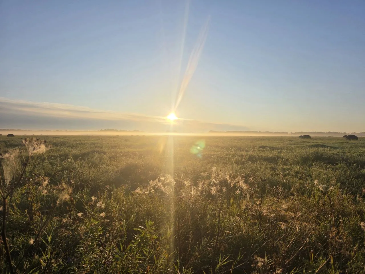 С добрым утром! ☀️Прекрасного дня 🤗