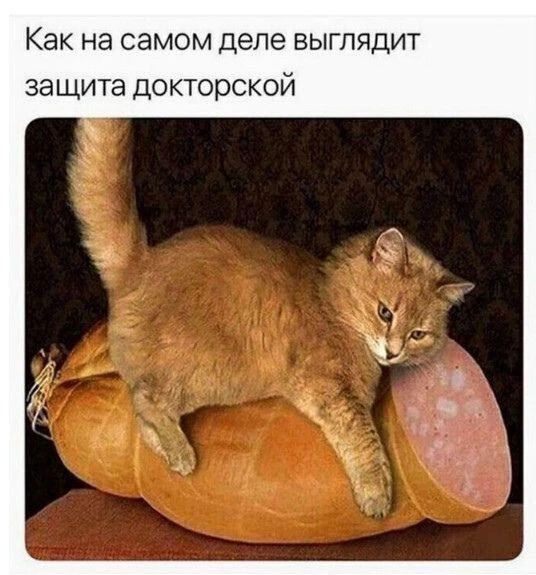 АНЕКДОТЫ ДЛЯ ВЗРОСЛЫХ 🍒