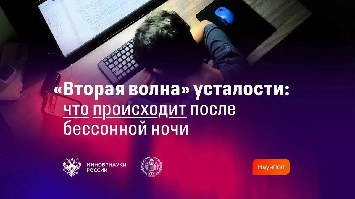 🧠 «Вторая волна» усталости: что происходит с организмом после бессонной ночи