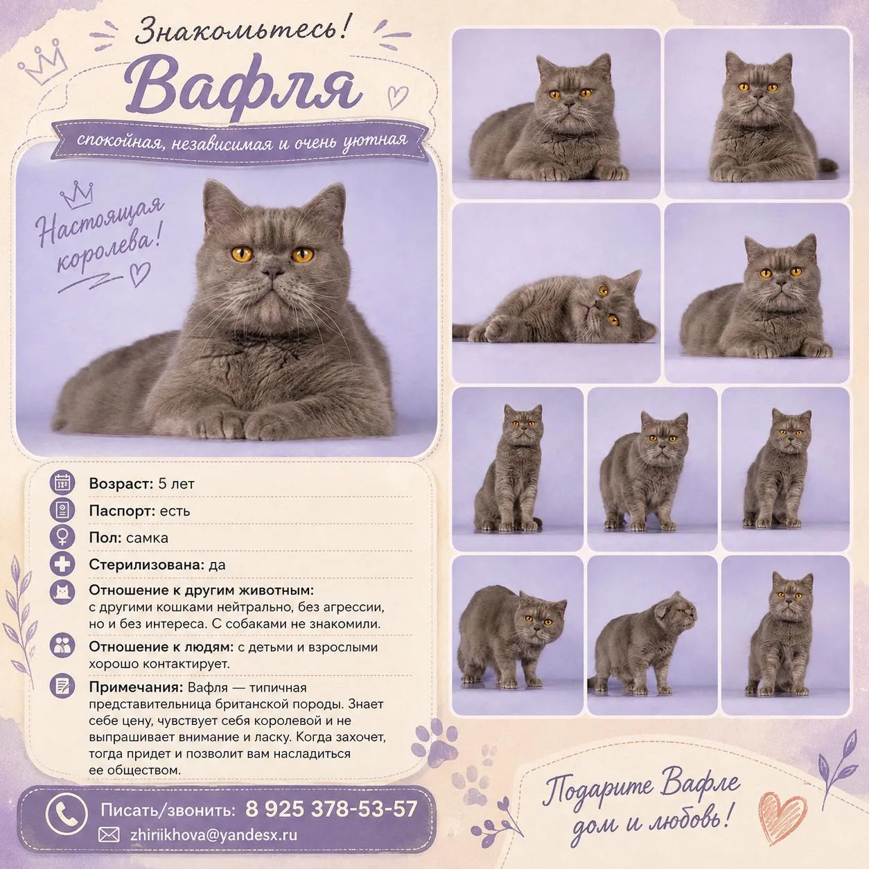 Знакомим вас с частью наших хвостатых участников 🐾