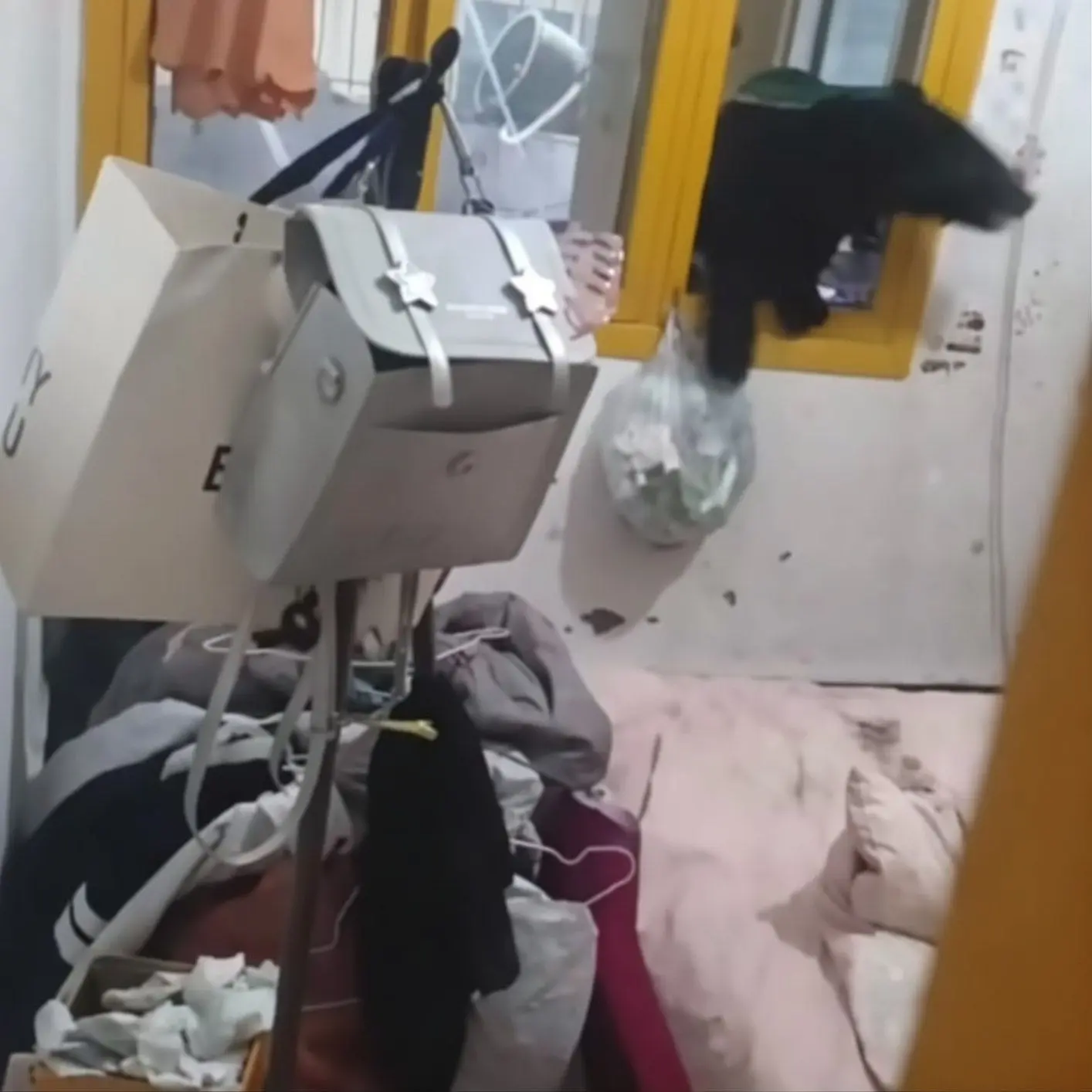 Медвежонок проник в квартиру через балкон третьего этажа в Китае