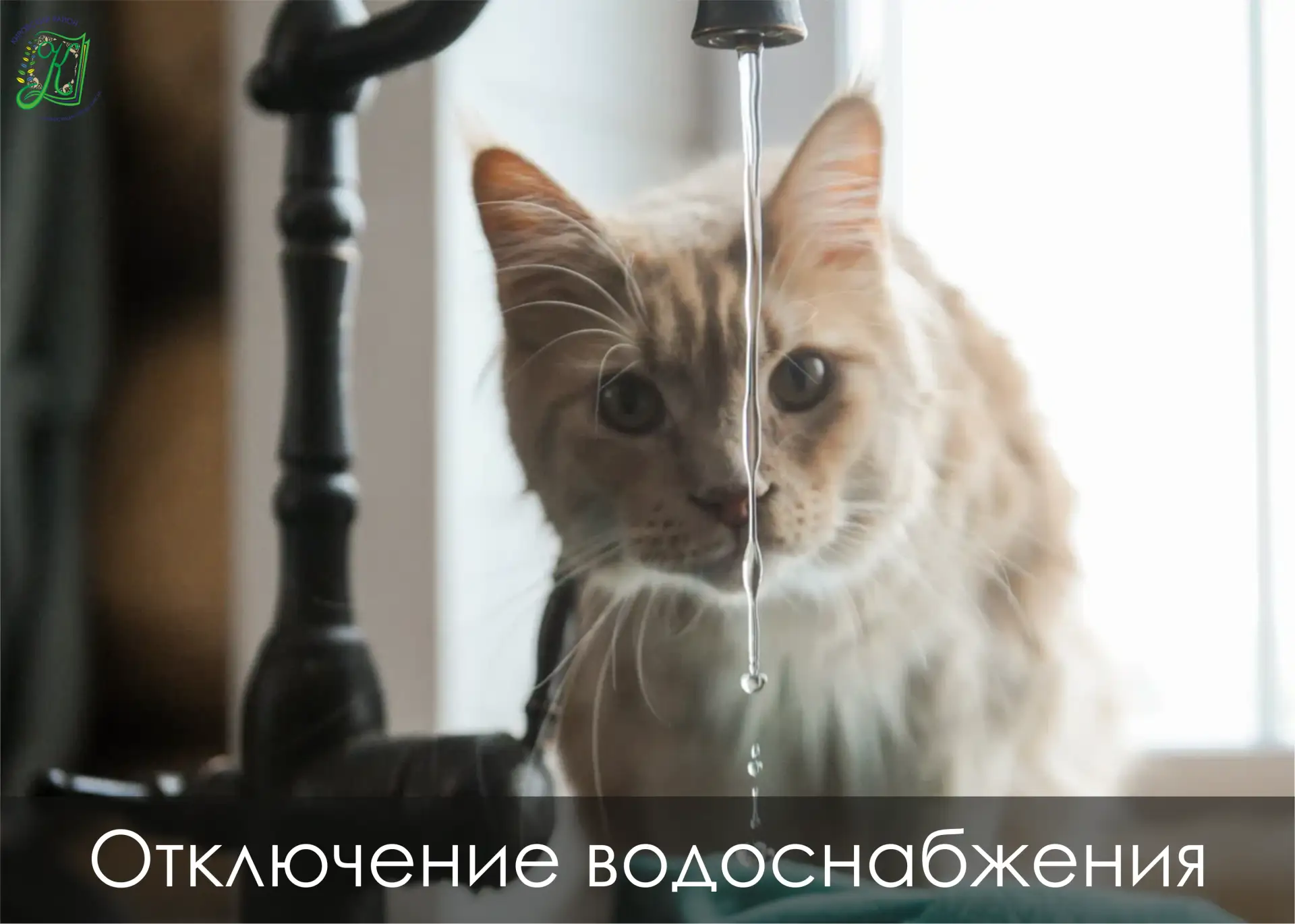 Отключение холодного водоснабжение в Кировском районе

🚱 В связи с ремонтными работами на водопрово