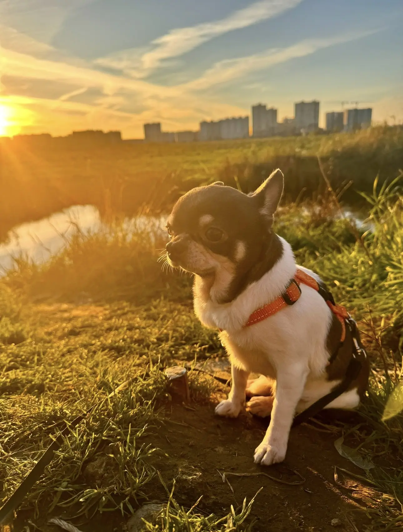 🐾😴☀️
Что бы ни происходило, всегда окна своей души держи открытыми для солнца…