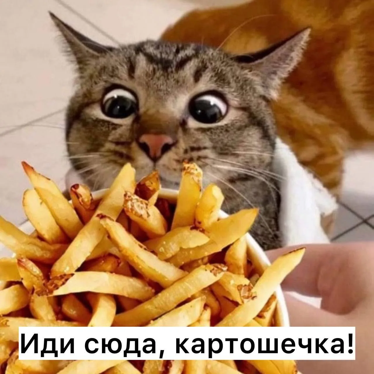 Доброе утро, петербуржцы!