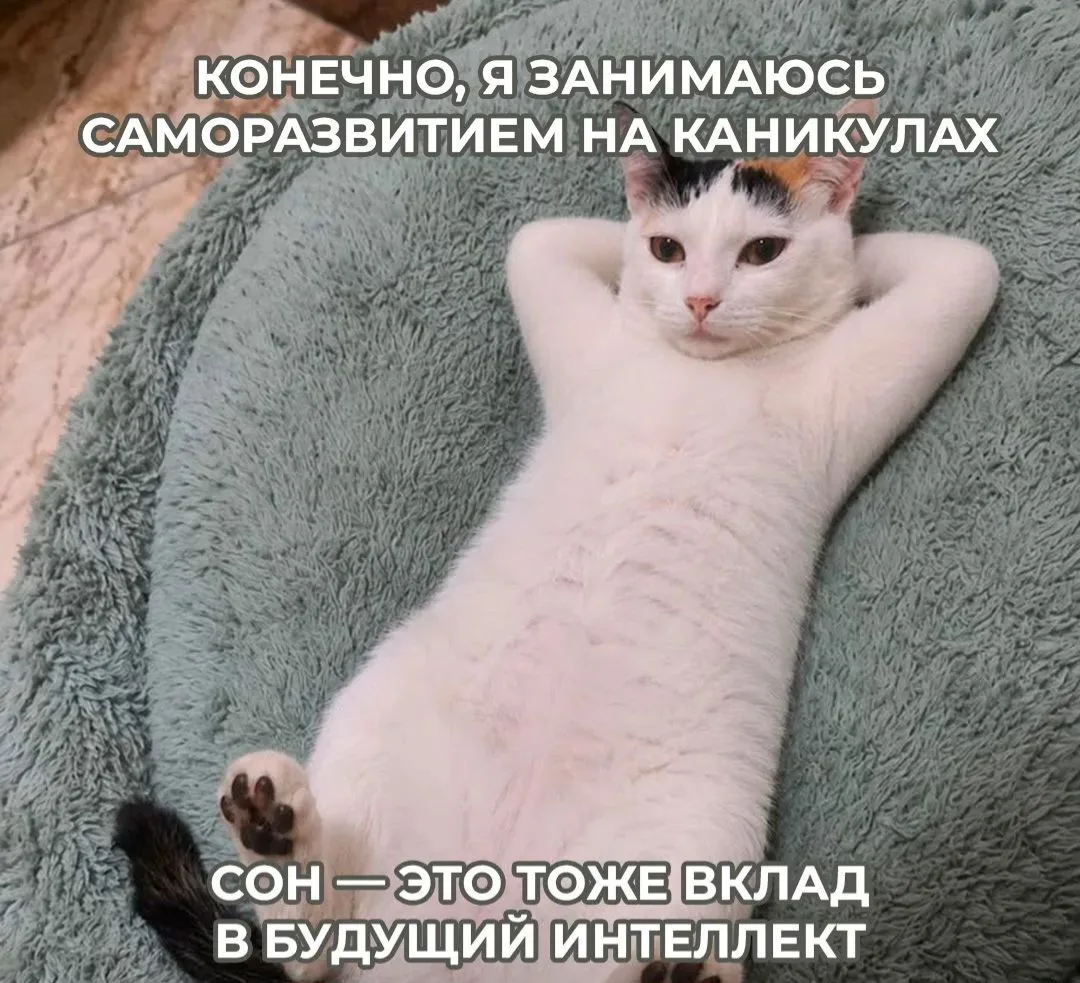#мемЛИК