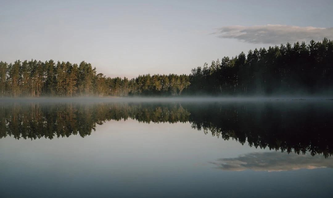 Чувства похожи на воду в реке — их невозможно остановить, можно лишь наблюдать, как они...
