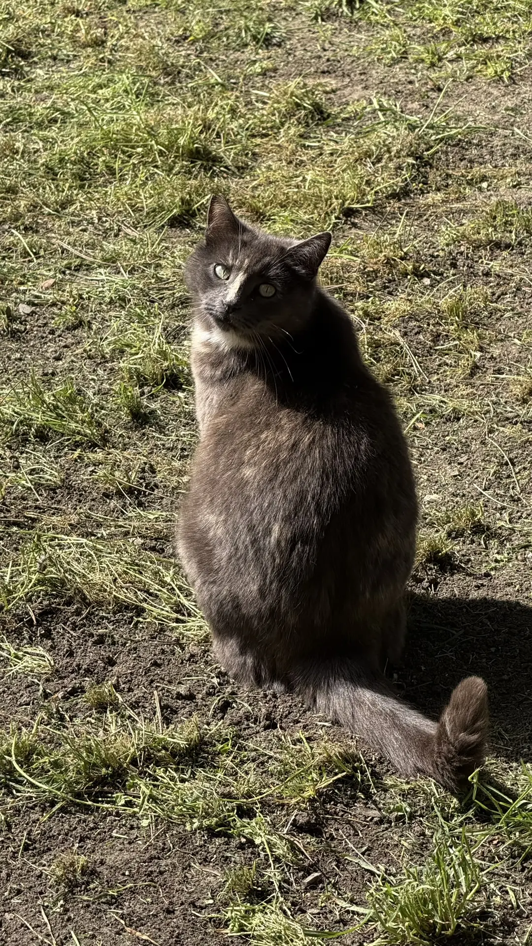 Ангарские котики передают привет и ждут вас на берегу моря ❤️