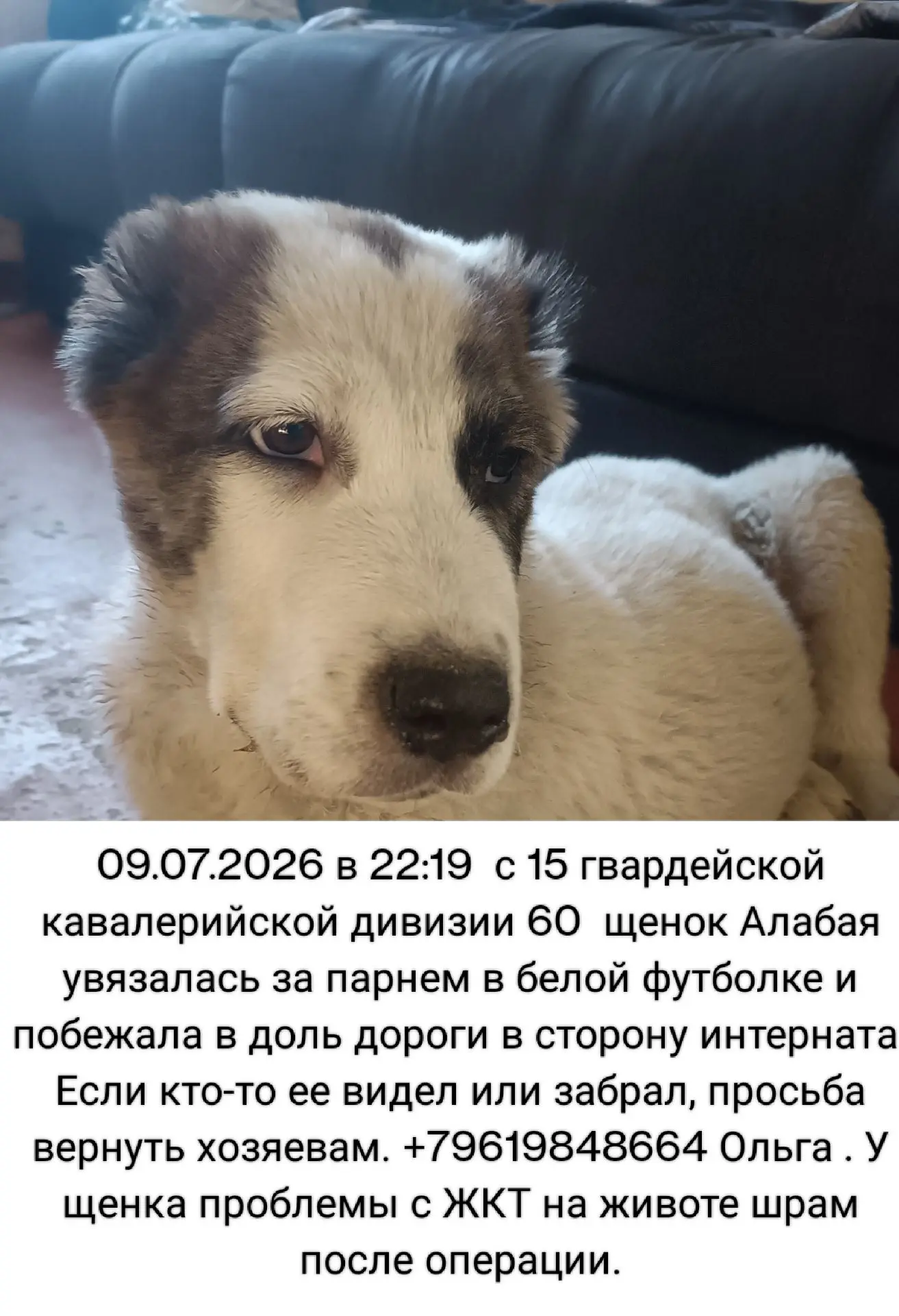 Изображение 1 к публикации «БЮРО НАХОДОК | БИЙСК»