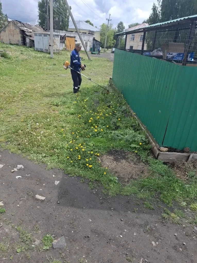 Скос травы вдоль мусорных ограждений у МКД