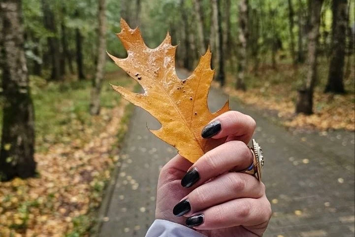 🌧 Парк «Фили» в дождливую погоду