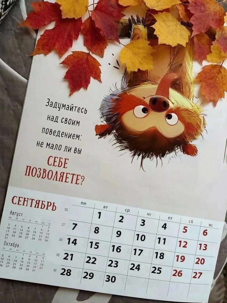 Законы, вступающие в силу с сентября 2026 года 📅🆕: